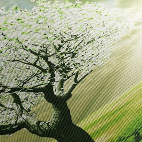 Obraz kvitnúceho stromu (s hodinami) (90x30 cm)