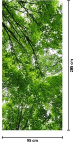 Fototapeta na dvere - Pohľad do korún stromov (95x205cm)
