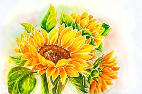 Samolepiaca tapeta krásna maľba slnečnice
