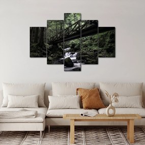 Obraz z čierneho lesa (150x105 cm)