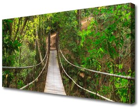 Obraz Canvas Most džungľa tropický les 140x70 cm
