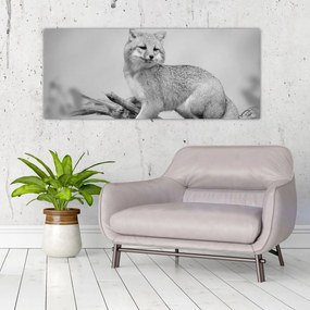 Obraz - Líška šedá (120x50 cm)