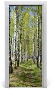 Fototapeta na dvere samolepiace Břízová les 75x205 cm