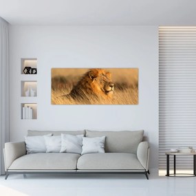 Obraz - Národný park Etosha (120x50 cm)