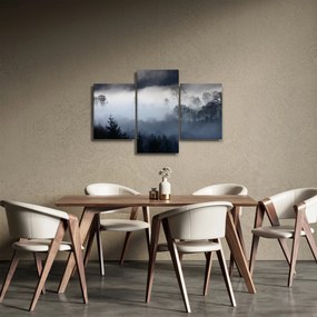 Obraz hmly nad lesom (90x60 cm)