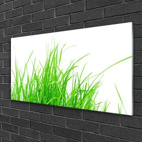 Obraz na skle Tráva 125x50 cm