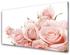 Nástenný panel  Ruže kvety rastlina 140x70 cm