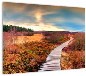 Sklenený obraz - Jesenná cesta krajinou (70x50 cm)