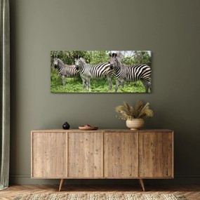 Obraz so zebrami (120x50 cm)