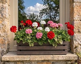 AMADEA Drevený obal s hrantíkom tmavý, 62x21,5x17cm Český výrobok