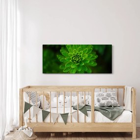 Obraz ihličnanu (120x50 cm)