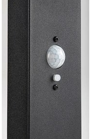 Rabalux 77079 - LED solárna vonkajšia lampa LASSET LED/4,4W/3,7V IP54 antracit