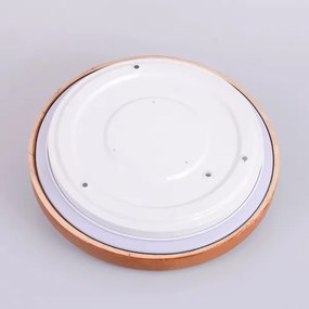 Globo 41764-12 - LED Stropné svietidlo BRUNO LED/12W/230V 307 mm 3000/4500/6000K