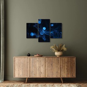 Obraz - Medúzy (90x60 cm)