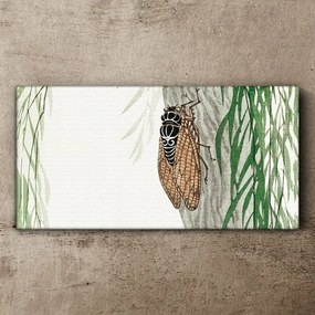Obraz Canvas Strom ázijských hmyz listy