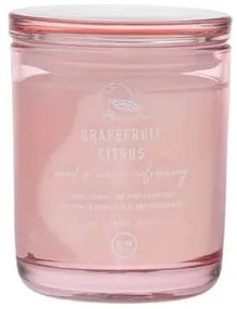 dw HOME Vonná sviečka v skle Grapefruit Citrus 264 g