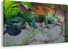 Obraz - Chameleon (90x60 cm)