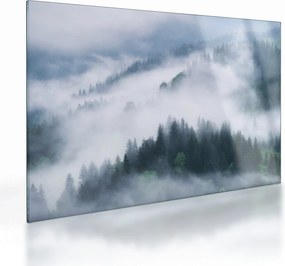 Sklenený obraz - Stromy v hmle (70x50 cm)