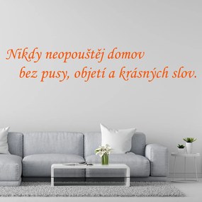 Veselá Stena Samolepka na stenu na stenu Nikdy neopúšťaj domov bez pusy, objatia a krásnych slov Farba: černá