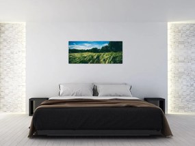 Obraz lúky a lesa (120x50 cm)