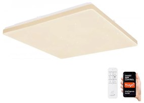 Globo 48025WSH - LED Stmievateľné stropné svietidlo LED/24W/230V Wi-Fi Tuya + DO