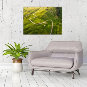 Obraz - Náhorná lúka (70x50 cm)