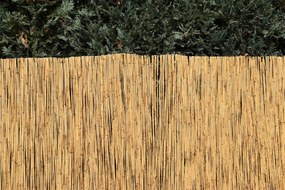 Rákosová zástena na plot Výška plota: 180 cm, Dĺžka plota: 600 cm