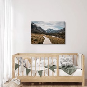 Obraz - Chodník v údolí hory Mt. Cook (90x60 cm)