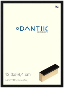 DANTIK rám na obraz 42x59,4 | KASSETTE černá (Plexi Čiré)