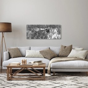 Obraz - Líška v zime (120x50 cm)