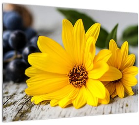 Sklenený obraz žltých kvetov (70x50 cm)