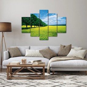 Obraz poľa s alejou (150x105 cm)