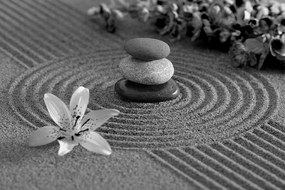 Fototapeta čiernobiela zen záhrada s kameňmi a kvetmi