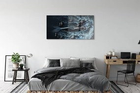 Obraz plexi Morská siréna 125x50 cm