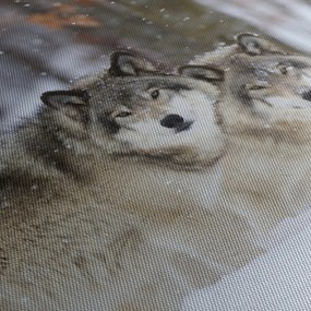Obraz - Vlci v zime (120x50 cm)