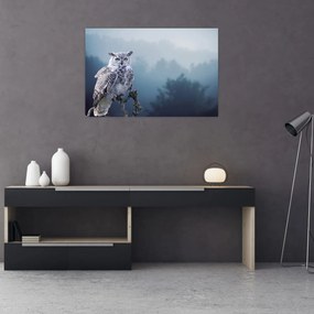 Obraz - Sova snežná (90x60 cm)