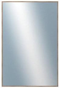 DANTIK - Zrkadlo v rámu, rozmer s rámom 40x60 cm z lišty Hliník wenge (7273515)