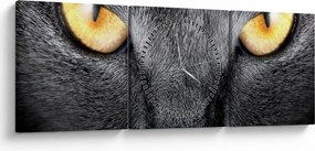 Obraz - Blízky portrét mačky (s hodinami) (90x30 cm)