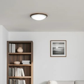 Rabalux 5427 - Stropné svietidlo UFO 2xE27/60W/230V