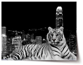 Sablio Plagát Mestský tiger - 60x40 cm