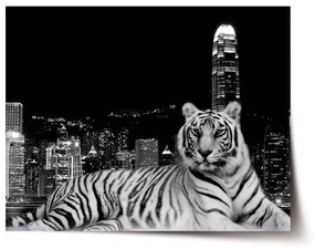 Sablio Plagát Mestský tiger - 60x40 cm