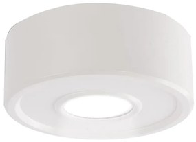 Shilo 7204 - LED Stropné svietidlo ENA IL LED/10W/230V 3000K CRI 90 biela