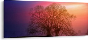 Obraz stromov v hmle (120x50 cm)