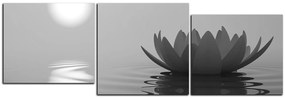 Obraz na plátne - Zen lotus - panoráma 5167QD (90x30 cm)