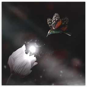 Gario Obraz na plátne Kolibrík a čarovný kvet - Zehem Chong Rozmery: 50 x 50 cm