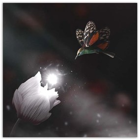 Gario Obraz na plátne Kolibrík a čarovný kvet - Zehem Chong Rozmery: 60 x 60 cm