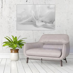 Obraz - Perie (90x60 cm)