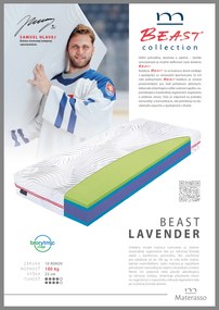 Materasso Penový matrac Beast Lavender Rozmer: 160 x 200 cm