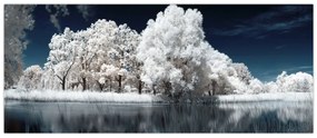 Obraz - Snehobiele stromy (120x50 cm)