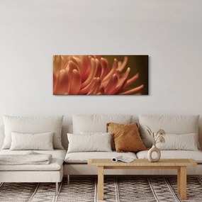 Obraz detailu kvety (120x50 cm)